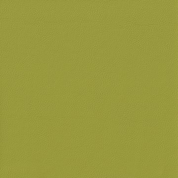 VENUS FR VN032