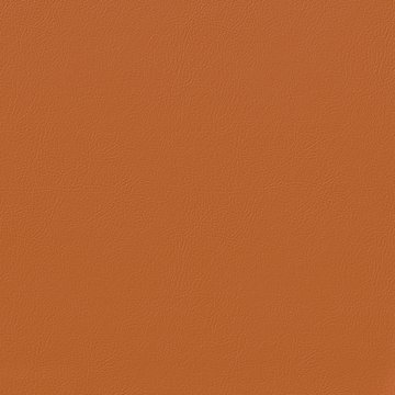 VENUS FR VN038