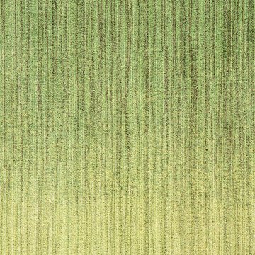 MILLIKEN NATURALLY DRAWN HAND SKETCHED TRANSITION TB HST141-103 50X50CM