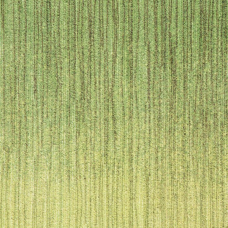 Mattolaatta MILLIKEN NATURALLY DRAWN HAND SKETCHED TRANSITION TB HST141-103 50X50CM