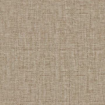 AC OTARU 27 TUMMA BEIGE var.