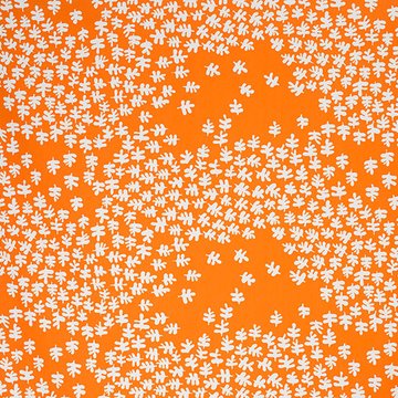 Lager/orange