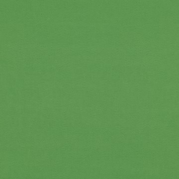 KD K5018/80 DAKOTA SUEDE GRASS