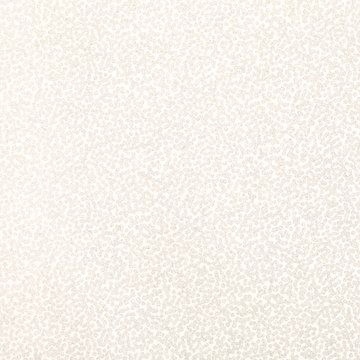 RF W397/01 TILLA WHITEWASH WALLCOVERING