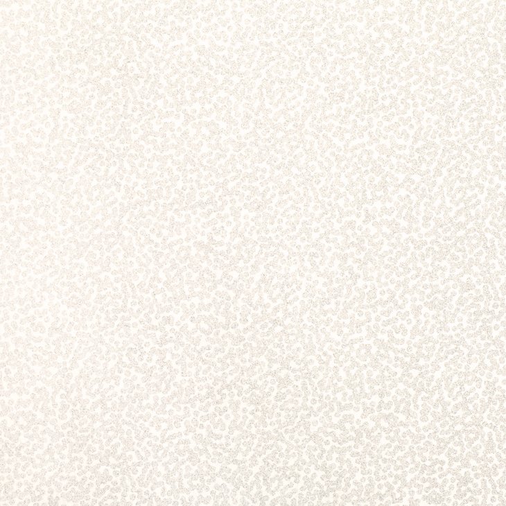 RF W397/01 TILLA WHITEWASH WALLCOVERING
