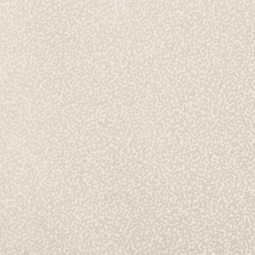 RF W397/02 TILLA SHALE WALLCOVERING