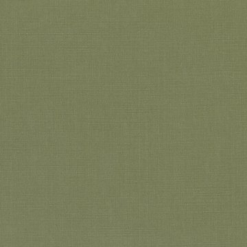 VN B2854/197 GENEVA MOSS