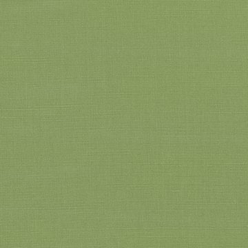 VN B2854/202 GENEVA GRASS