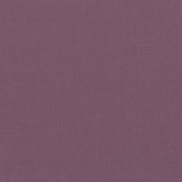 VN B2854/205 GENEVA IRIS