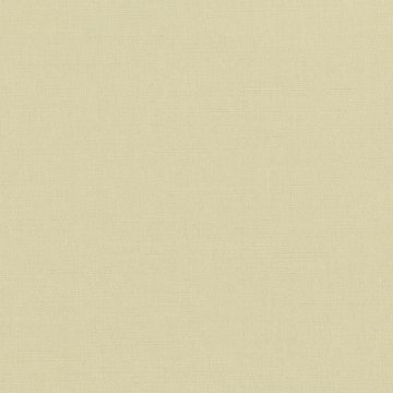 VN B2854/225 GENEVA LIMESTONE