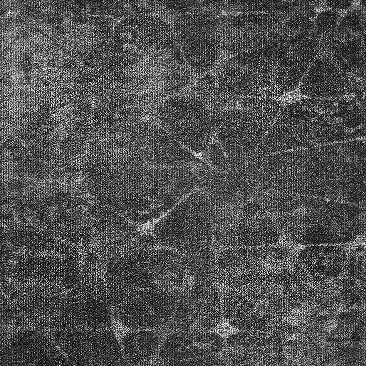 Kokolattiamatto EGE REFORM DISCOVERY WT 7135200 400CM