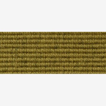 OX OKRA 597072
