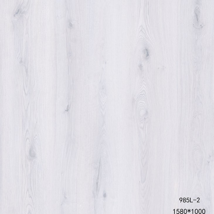 Vinyylilattia LIBERTY ROCK 40 MINNESOTA 643719