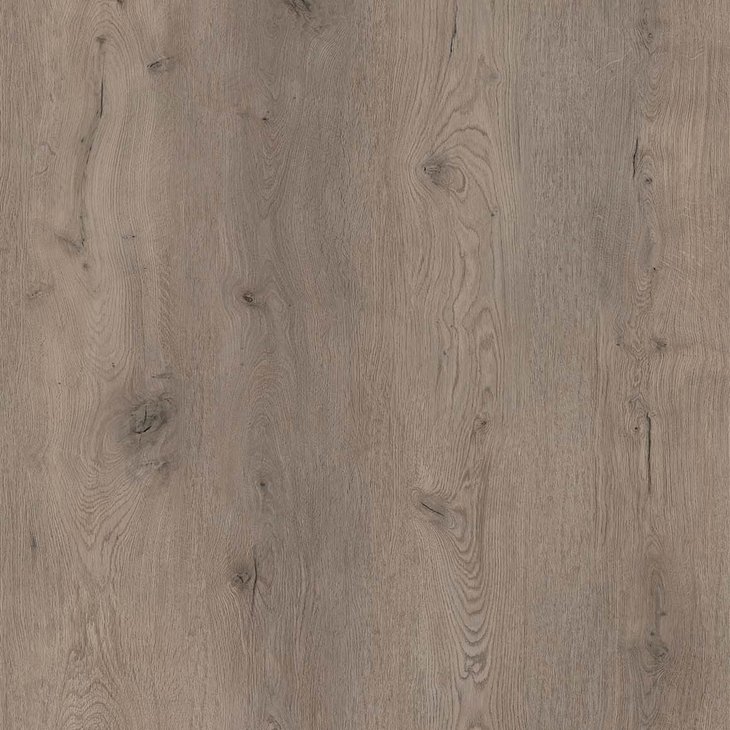 Vinyylilattia COREtec XL-END_BELVOIR 50-LVREXL-2594