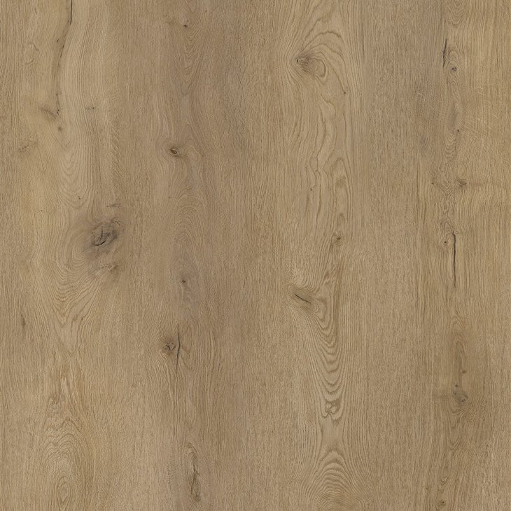 Vinyylilattia COREtec XL-END_MONTCLAIR 50-LVREXL-2557