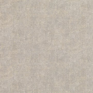 VN JALI TAPETTI W551-06
