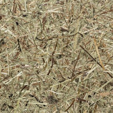 Organoid Wildspitze Flax