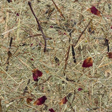 Organoid Wildspitze Rosengarten Flax