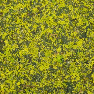 Organoid Mous Mix Flax