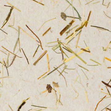 Organoid Wildspitze light Flax