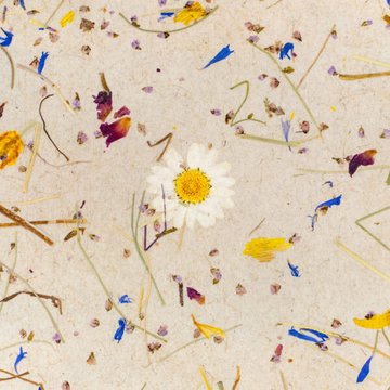 Organoid Almwiesn light Flax