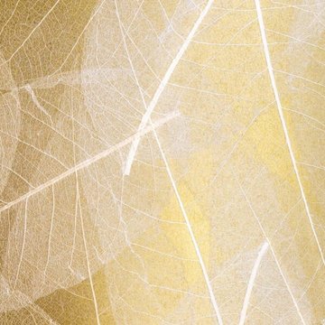 Organoid Skelettblattla Gold