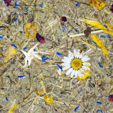 Organoid Bergwiesn Flax tarra