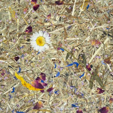Organoid Almwiesn Flax tarra