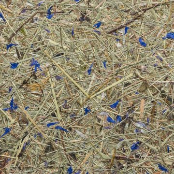 Organoid Wildspitze Himmelblau Flax tarra