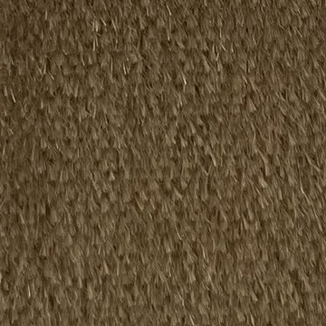 JAZZ 2600