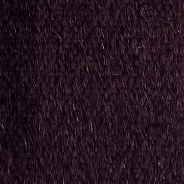 JAZZ 6240