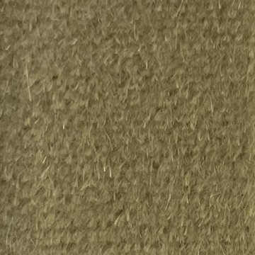 JAZZ 8100