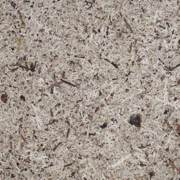 Organoid Moos Grau tarra