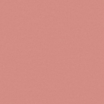 CAMIRA BLAZER II CUZ4Q