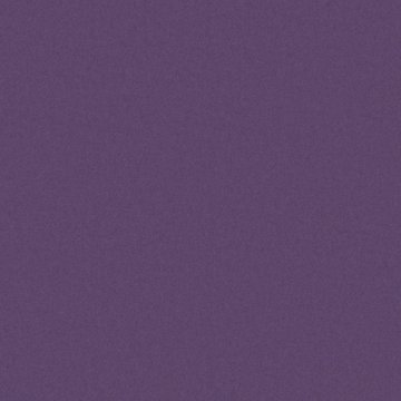 CAMIRA BLAZER II CUZ4T