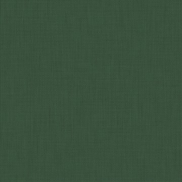 CAMIRA PENTA PEN11