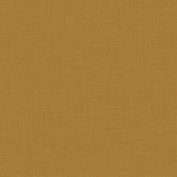 CAMIRA PENTA PEN19