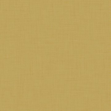 CAMIRA PENTA PEN21