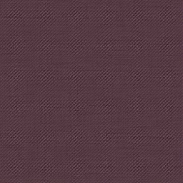 CAMIRA PENTA PEN26