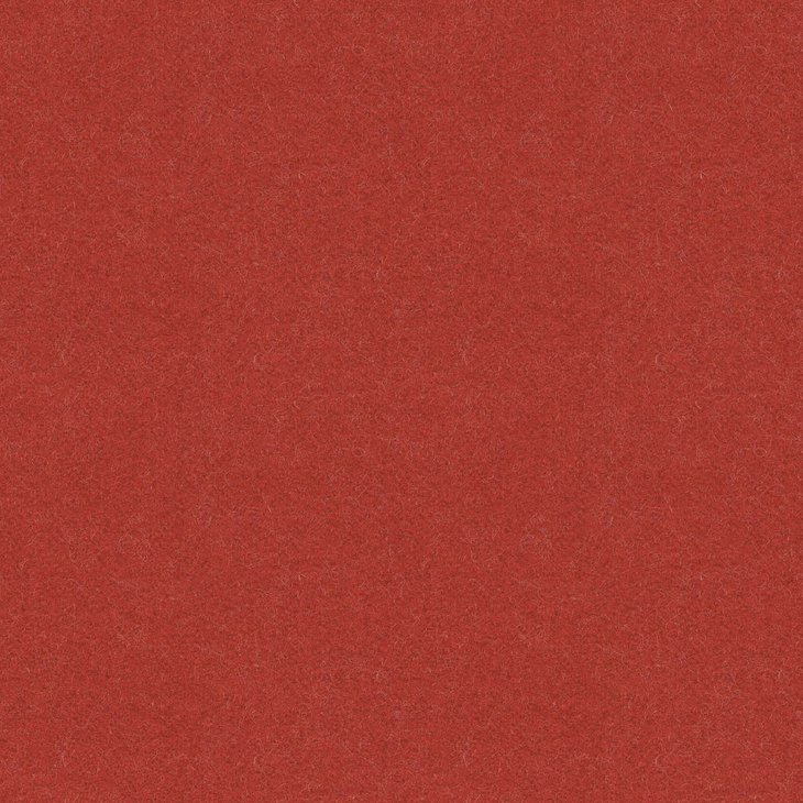 CAMIRA SYNERGY 170CM LDP84