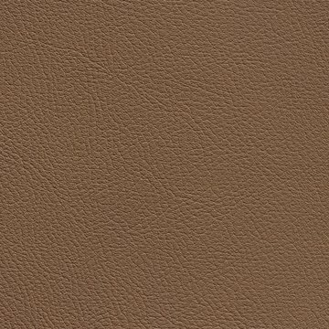 O&O FADO FR 3281 SALON