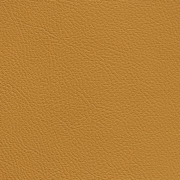 O&O FADO FR 6995 SPECTRO