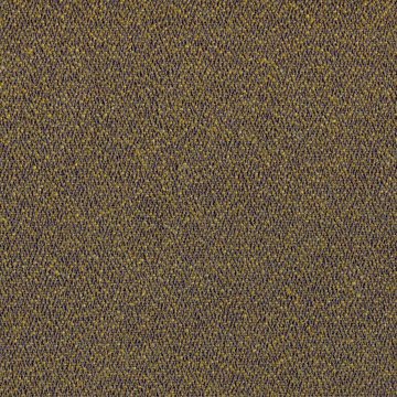 CAMIRA 24/7 FLAX FYR11-Continuance