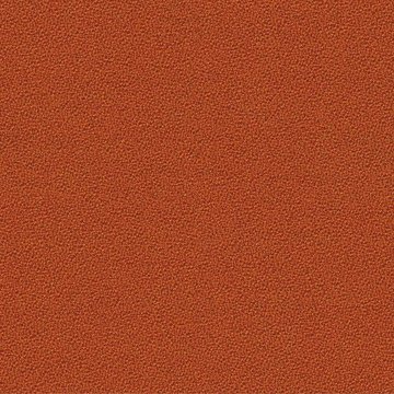 CAMIRA AQUARIUS JA068-Amber