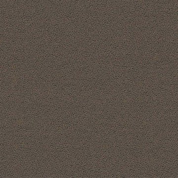 CAMIRA AQUARIUS JA125-Mushroom