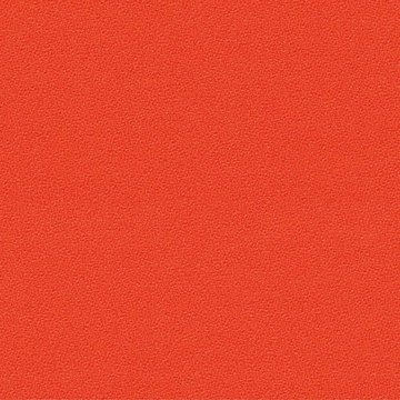 CAMIRA AQUARIUS JA428-Circus