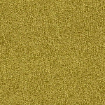 CAMIRA AQUARIUS JA201-Courgette