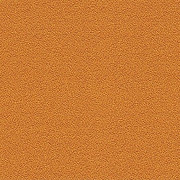 CAMIRA AQUARIUS JA426-Zippy