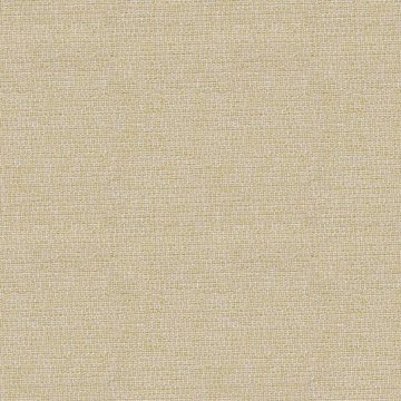 CAMIRA ASPECT ACT10-Capones