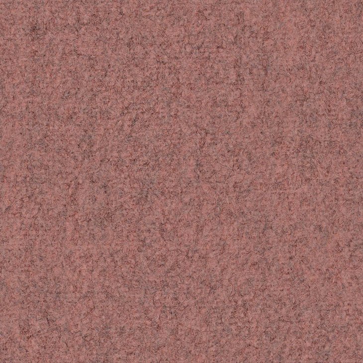 CAMIRA BLAZER LITE LTH1D-Delight